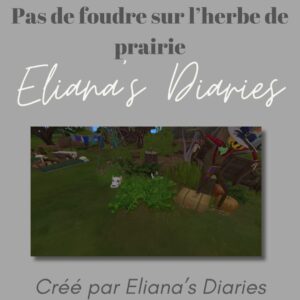 Pas d'éclairs sur l'herbe de prairie