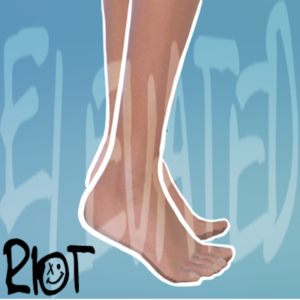 TIPTOE FEET_ELEVATED
