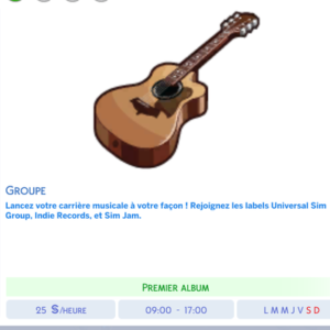Guitare acoustique pour débuter carrière musicale dans *Les Sims 4* - 25 $/heure