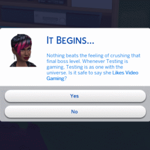 Sim 4 : Testant adore les jeux vidéo, question sur ses préférences.