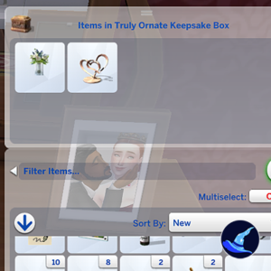 Boîte à souvenirs ornée dans *Les Sims 4* avec objets et filtres.