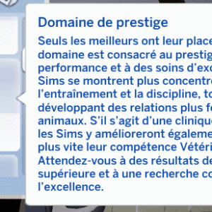 Domaine de prestige dans *Les Sims 4* : clinique vétérinaire haut de gamme et excellence.