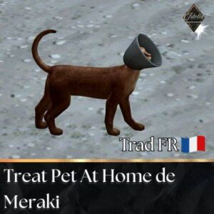 Chien virtuel en collier dans *Les Sims 4* : Traitement à la maison de Meraki