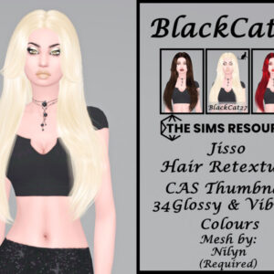 Coiffure retexturée Jisso pour The Sims 4, 34 couleurs brillantes et vives