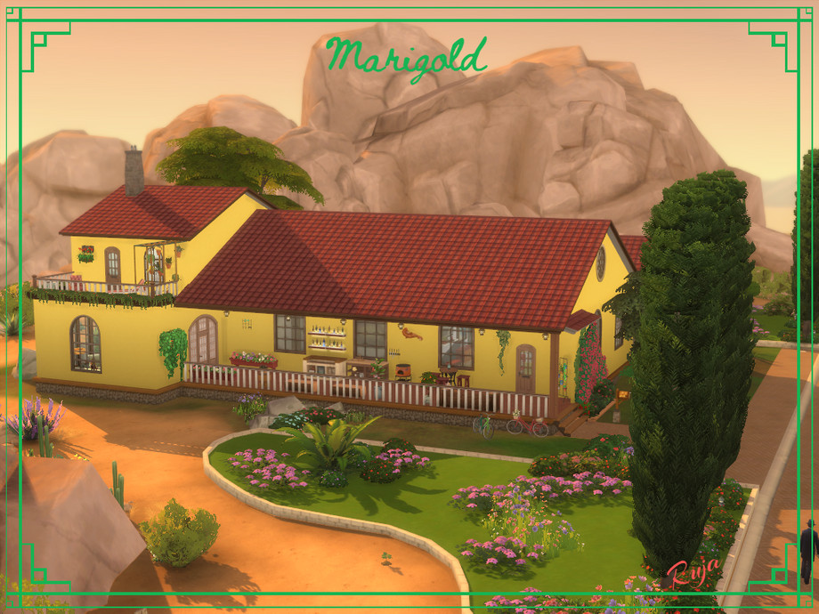 Marigold