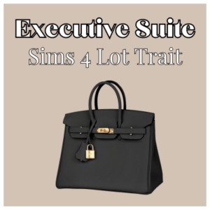 Sac Hermès style pour Sims 4 lot Trait Executive Suite