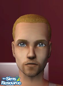 Barbe de trois jours pour bouc brun roux par wildstar24