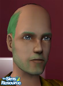 Barbe de trois jours verte par Chiaki