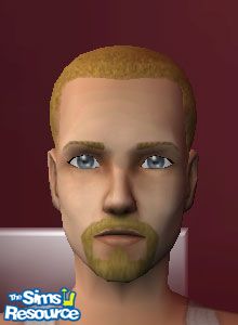 Bouc blond clair par wildstar24