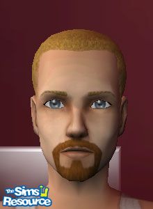Bouc brun roux par wildstar24