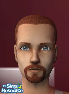 Bouc roux clair par wildstar24