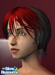 Coiffure punk noire et rouge par msgab2