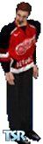 Maillot des Detroit Red Wings par Bill Ciborowski