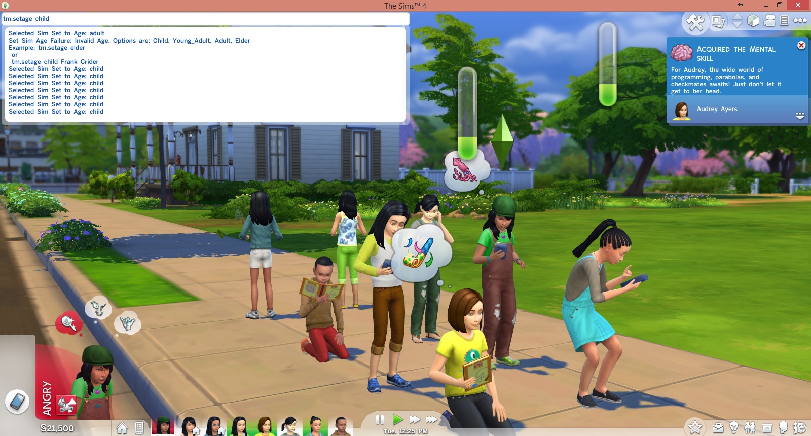Triche Set Age (âge des Sims et voisins)