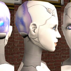 Robot WSF et accessoires par Warlord