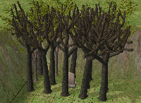 L'Arbre mort par fireflies
