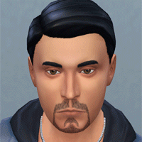 Six barbes des Sims 2 adaptées aux Sims 4 par necrodog