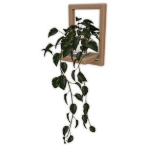 Plante verte suspendue dans cadre bois, *Les Sims 4*