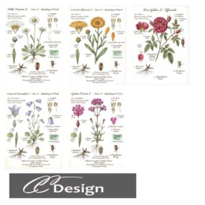Illustrations botaniques détaillées pour *Les Sims 4* - Plantes et fleurs à collectionner