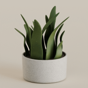 Plante aloe vera dans un pot blanc, style Sims 4